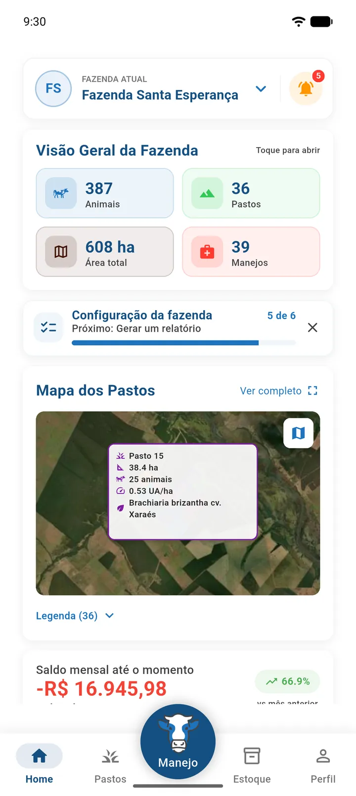 Card Mapa dos Pastos com os contornos sobre satélite e o balão de informações de um pasto selecionado